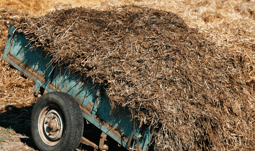 Dirty Work Home & Exterior Solutions